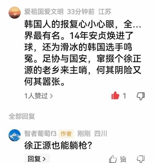 丢冠怨裁判?河南球迷“脑洞大开”,裁判不怀好意,徐正源躺枪 丢冠怨裁判?河南球迷“脑洞大开”,裁判不怀好意,徐正源躺枪